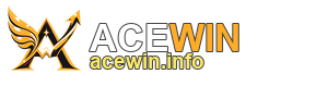 ACEWIN acewin.info header logo